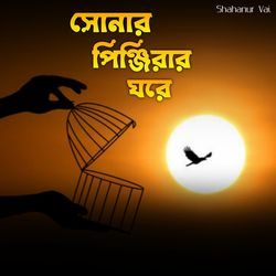 Sonar Pinjirar Ghore