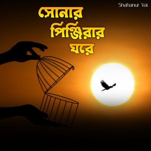 Sonar Pinjirar Ghore