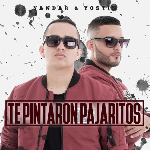 Te Pintaron Pajaritos_poster_image