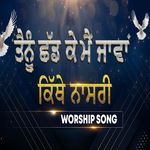 Tenu Chhad Ke Mai Javan Kithe Nasri