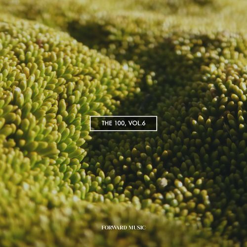 Campeche (Lucas Romagnoli Remix) cover art