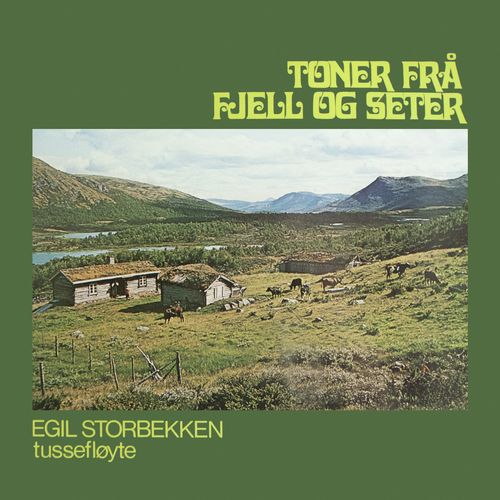 Fjell-lengt cover art