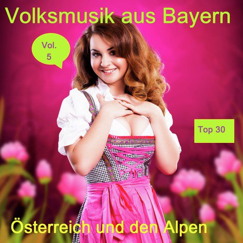 Top 30: Volksmusik aus Bayern, Österreich und den Alpen, Vol. 5