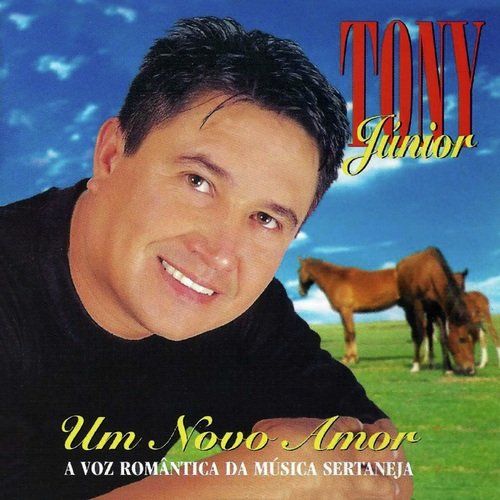 Um Novo Amor (A Voz Romântica da Musica Sertaneja)