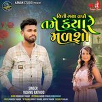 Viti Gaya Varsho Tame Kyare Malsho