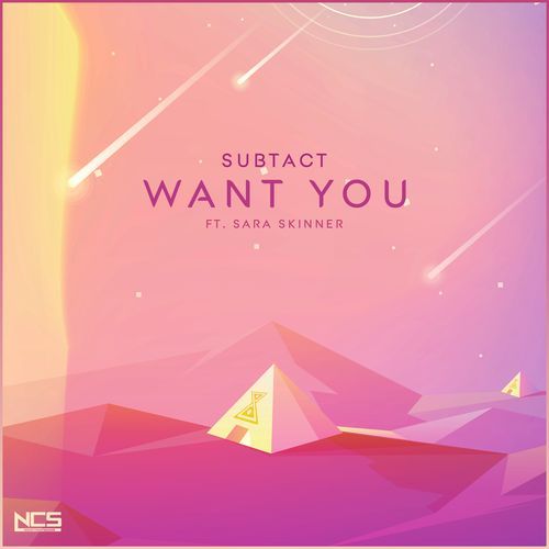 Want You_poster_image