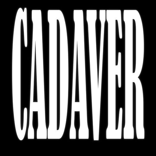 cadaver