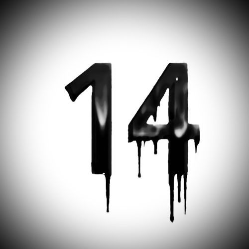 14 Flows cover art