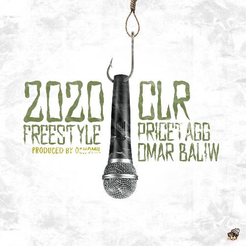 2020 Freestyle