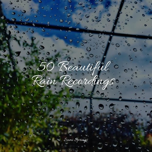 50 Beautiful Rain Recordings