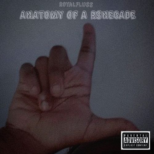 ANATOMY OF A R3NEGADE cover art