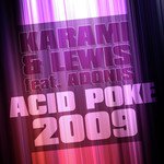 Acid Poke 2009 (Original Mix)