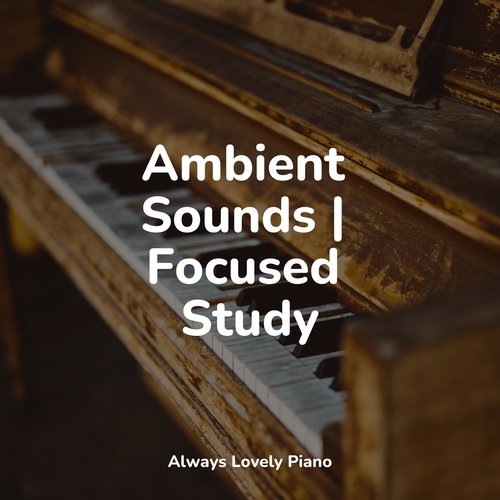 Ambient Sounds | Focused Study