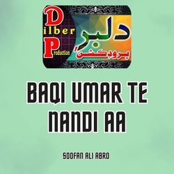 Baqi Umar Te Nandi Aa