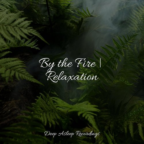 By the Fire | Relaxation_poster_image