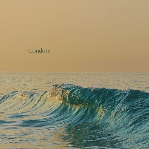 Condors cover art