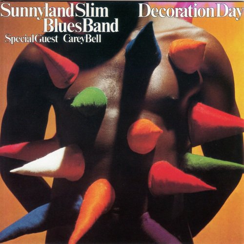 Decoration Day By Sunnyland Slim Blues Band Download Or Listen