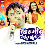 Dhir Gir Gail Holi Me
