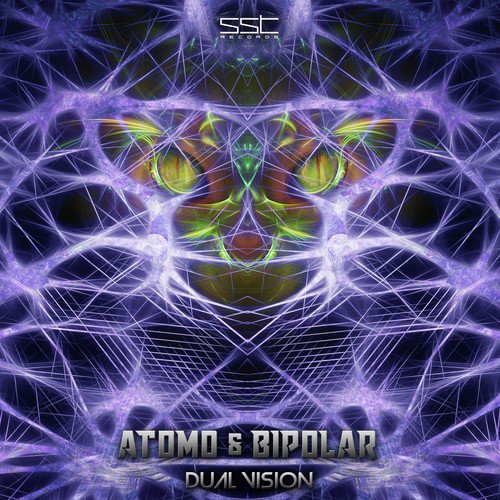 Dual Vision cover art