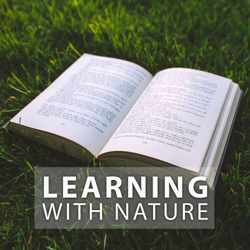 Learning with Nature – Calm Music to Study, Focus on Task, Reading Books, Nature Sounds for Better Concentration