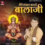 Mere Sankat Kato Balaji