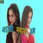 Naikhi Nadan Ham