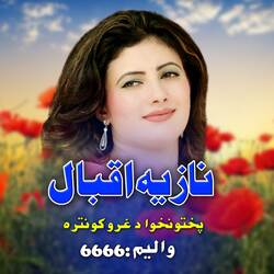 Pakhton Khawa Da Ghro Kontara, Vol. 6666