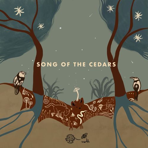 Song of the Cedars_poster_image