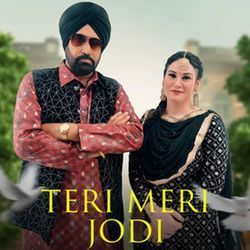 Teri Meri Jodi