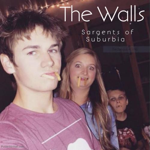 The Walls cover art