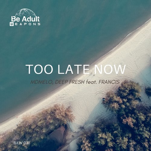 Too Late Now_poster_image