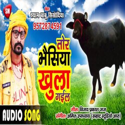 Tor Bhaisiya Khula Gail (Bhojpuri)-Bl4FUgxHfUQ