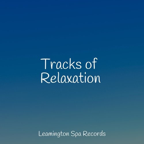 Sleep Music cover art