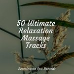 Relaxation Meditation
