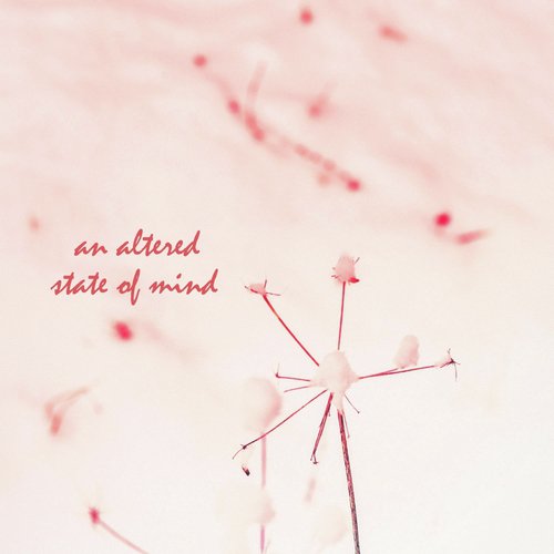 An Altered State of Mind_poster_image