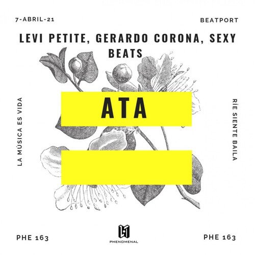 Ata cover art