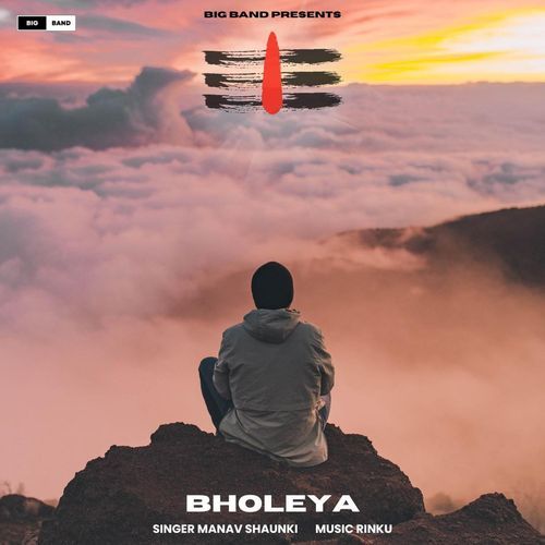 BHOLEYA