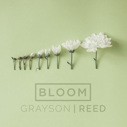 Bloom (Radio Version)