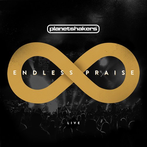 Endless Praise (Live)_poster_image