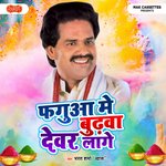 Holi Ke Rang Bada Chokha Ye Gori artwork