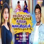 Hamar Dil Tut Tau Ge  Piyva Palang Tod Tau Ge