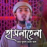 Hasnahena Tar Subas Dhele Bole