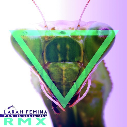 Mantis Religiosa (Remix)