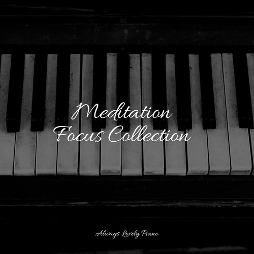 Meditation Focus Collection