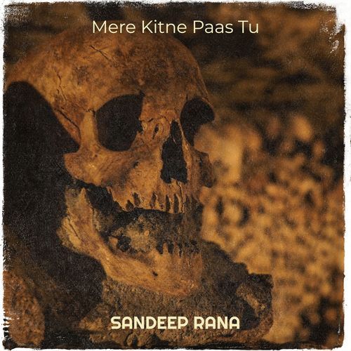 Mere Kitne Paas Tu