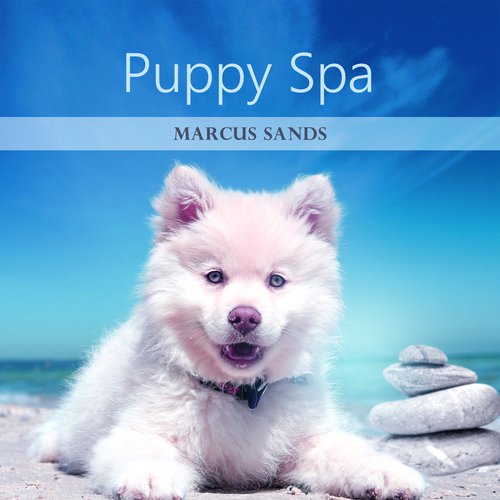 Pet Care Club cover art