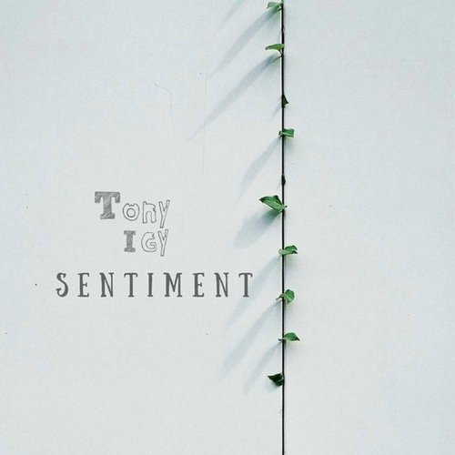 Sentiment_poster_image