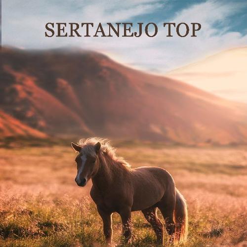 Nao e Possivel cover art