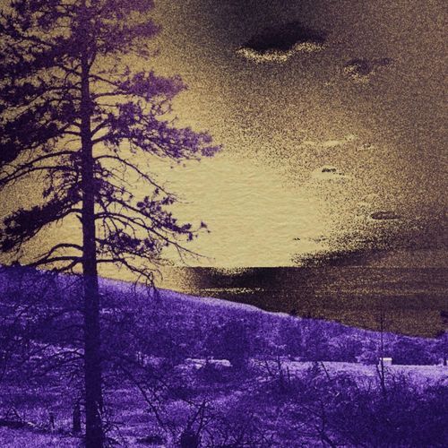 Sonny cover art