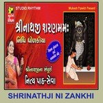 Shree Nathji Sharammm